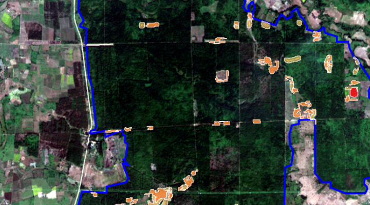 Deforestation: Myanmar AOI